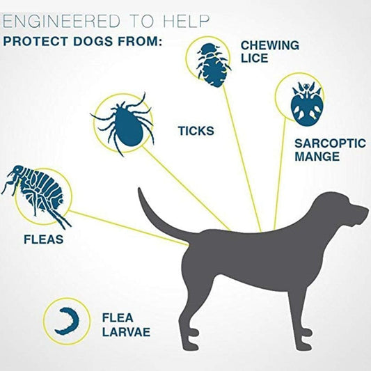 Fidélia - Floh- und Zeckenhalsband für Hunde und Katzen | 8 Monate Schutz