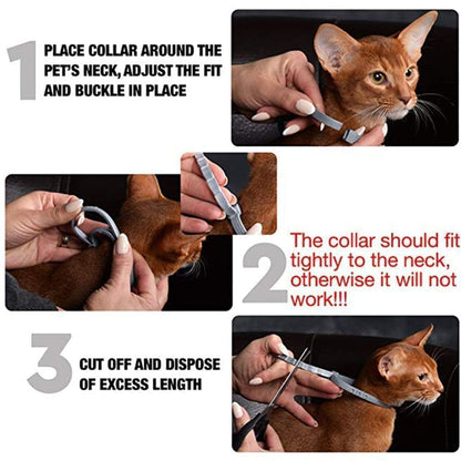 Fidélia - Floh- und Zeckenhalsband für Hunde und Katzen | 8 Monate Schutz