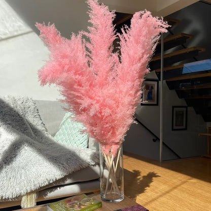 Écoria - Getrocknetes Pampasgras im Boho-Stil für die Innendekoration