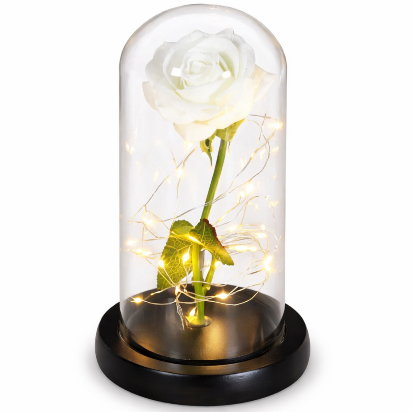 AmorLumi - Ewige Rose LED