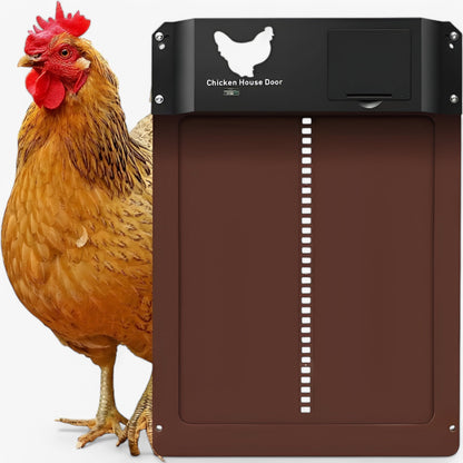 PouleSécur - Automatische Klappe für Hühner