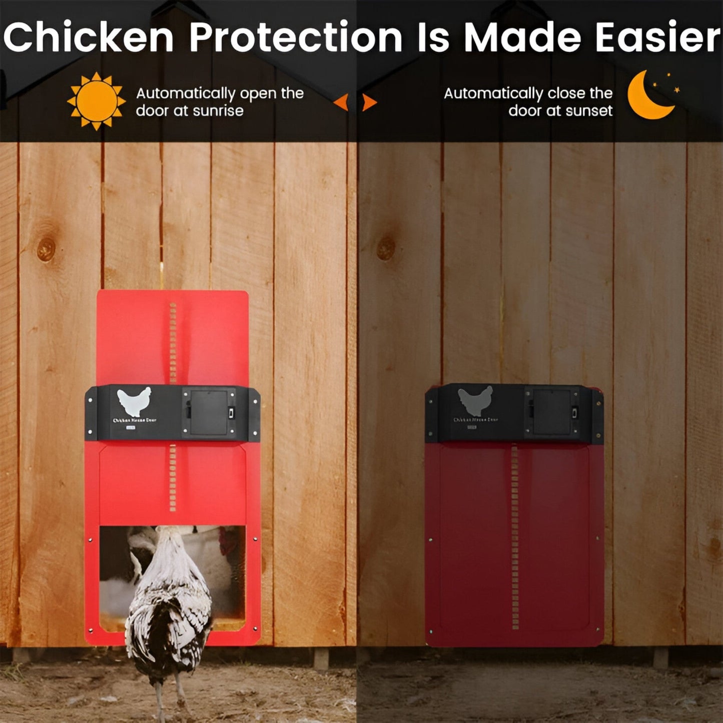 PouleSécur - Automatische Klappe für Hühner