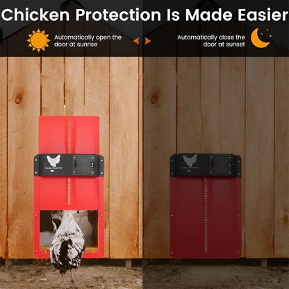 PouleSécur - Automatische Klappe für Hühner