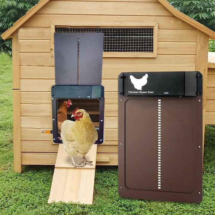 PouleSécur - Automatische Klappe für Hühner