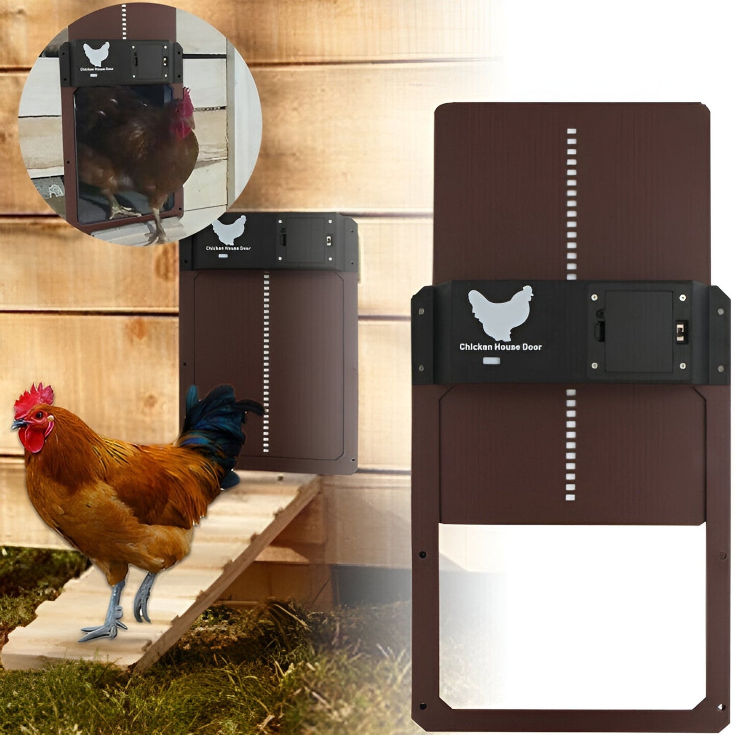 PouleSécur - Automatische Klappe für Hühner