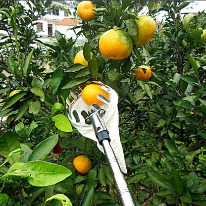 Fruicapt - Kopfkorb zur Obsternte