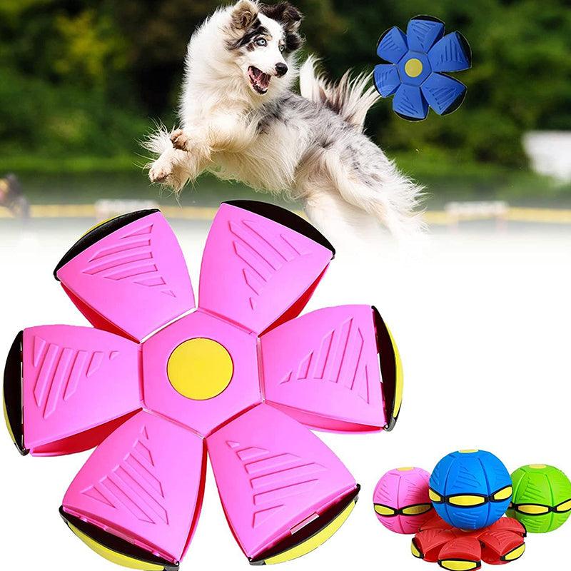 LancePatte - Magische Fliegende Teller für Hunde (1+1 Kostenlos)
