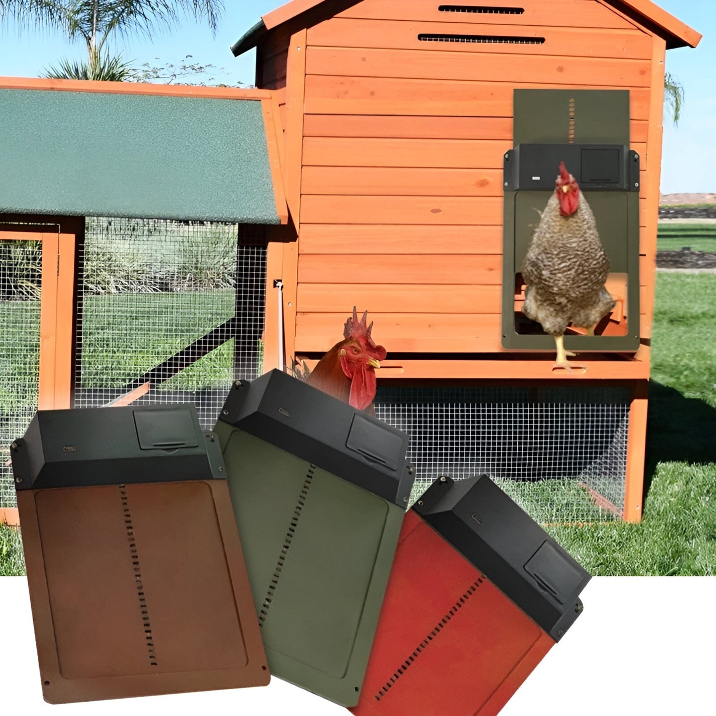 PouleSécur - Automatische Klappe für Hühner